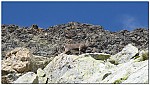 180821-17.jpg 180821-17.jpg