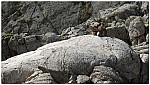 180821-18.jpg 180821-18.jpg