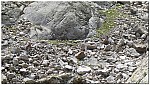 180821-31.jpg 180821-31.jpg