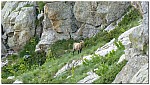 180821-34.jpg 180821-34.jpg