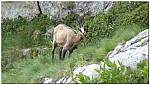 180821-35.jpg 180821-35.jpg