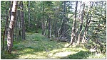 180822-13.jpg 180822-13.jpg
