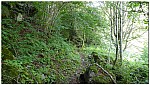 180822-14.jpg 180822-14.jpg