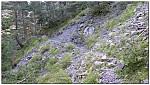 180822-15.jpg 180822-15.jpg