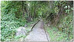 180822-21.jpg 180822-21.jpg