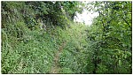 180822-26.jpg 180822-26.jpg