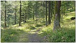 160818-01.jpg 160818-01.jpg