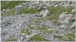 160818-15.jpg 160818-15.jpg
