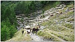 160818-18.jpg 160818-18.jpg