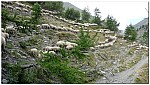 160818-22.jpg 160818-22.jpg