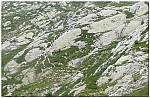 160818-37.jpg 160818-37.jpg