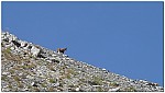 170815-17.jpg 170815-17.jpg