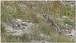 170815-35.jpg 170815-35.jpg