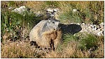 170816-08.jpg