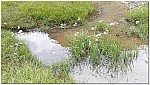 170816-53.jpg