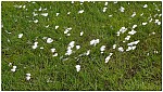 170816-54.jpg