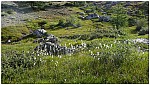 170817-05.jpg 170817-05.jpg