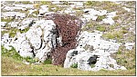 170817-22.jpg 170817-22.jpg