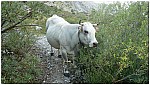 170818-03.jpg 170818-03.jpg
