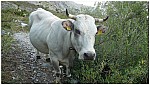 170818-04.jpg 170818-04.jpg