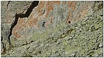 170818-11.jpg 170818-11.jpg