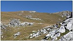 170818-14.jpg 170818-14.jpg