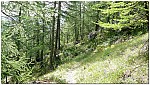 170819-20.jpg 170819-20.jpg