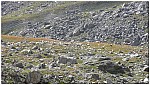 170820-17.jpg 170820-17.jpg