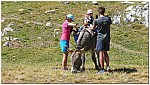 170820-33.jpg 170820-33.jpg