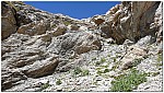 170821-25.jpg 170821-25.jpg