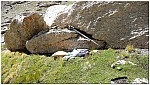 170821-28.jpg 170821-28.jpg