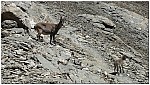 170821-34.jpg 170821-34.jpg