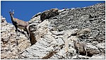 170821-37.jpg 170821-37.jpg