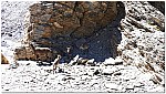 170821-45.jpg 170821-45.jpg