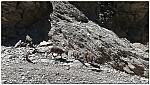 170821-46.jpg 170821-46.jpg