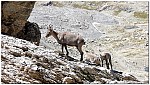 170821-49.jpg 170821-49.jpg