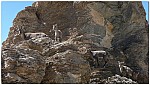 170821-51.jpg 170821-51.jpg