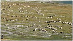 170821-64.jpg 170821-64.jpg
