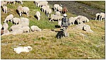 170821-65.jpg 170821-65.jpg