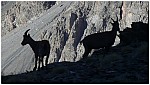 170822-05.jpg 170822-05.jpg