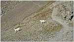170822-16.jpg 170822-16.jpg