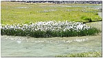 170822-34.jpg 170822-34.jpg
