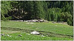 170822-37.jpg 170822-37.jpg