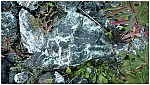 170823-04.jpg 170823-04.jpg