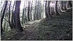 170823-07.jpg 170823-07.jpg