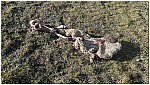 170823-09.jpg 170823-09.jpg