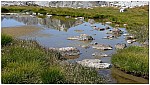 170823-21.jpg 170823-21.jpg