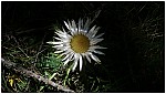 170823-26.jpg 170823-26.jpg