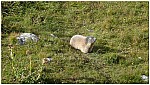 170824-03.jpg