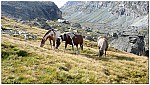 170824-05.jpg